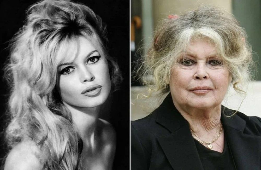 دفنت في مقبرة بحرية.. ما سبب وفاة الأيقونة الفرنسية بريجيت باردو؟ دفنت في مقبرة بحرية.. ما سبب وفاة الأيقونة الفرنسية بريجيت باردو؟