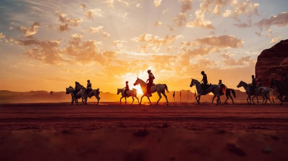 190 فارساً وفارسة يتنافسون في سباقي القدرة والتحمل بالعلا