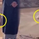 منذ 24 ساعة.. عراقي يرفض الخروج من الماء بعد غرق طفليه