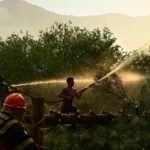 حرائق الغابات تدمر أكثر من 15 ألف هكتار من الأراضي في الأرجنتين