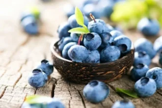 التوت الأزرق.. كنز طبيعي يبطئ الشيخوخة ويحمي الخلايا