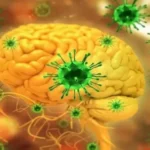 فايروس «نيباه» القاتل يقلق الهند ويعيد شبح الأوبئة