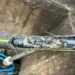 فئران لندن تُفشل إنقاذ شركة إنترنت