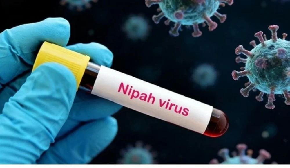 منظمة الصحة العالمية: فيروس نيباه لا يشكل خطراً على العالم