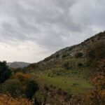 الخصاونة: أمطار كانون عصب الحياة للزراعة البعلية