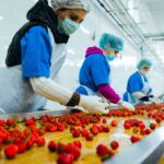 الصناعات الغذائية تغطي أكثر من 62% من احتياجات السوق المحلية