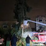 زراعة الزرقاء تتعامل مع شجرة تسببت بانقطاع الكهرباء في السخنة