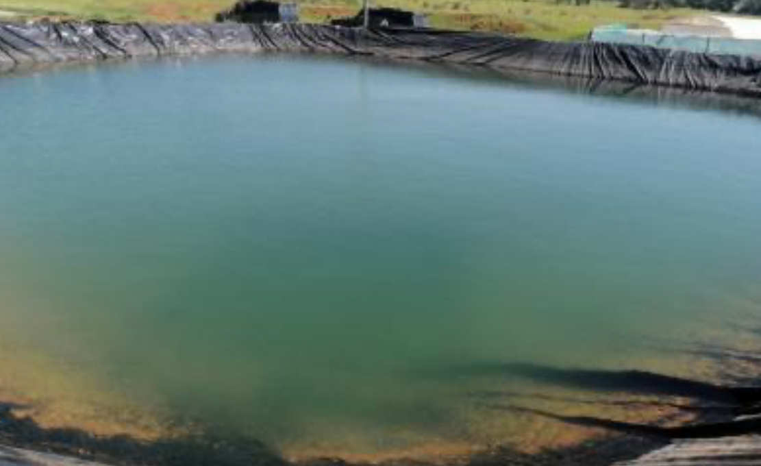 وفاة أب وطفليه غرقا داخل بركة زراعية في الجيزة وفاة أب وطفليه غرقا داخل بركة زراعية في الجيزة