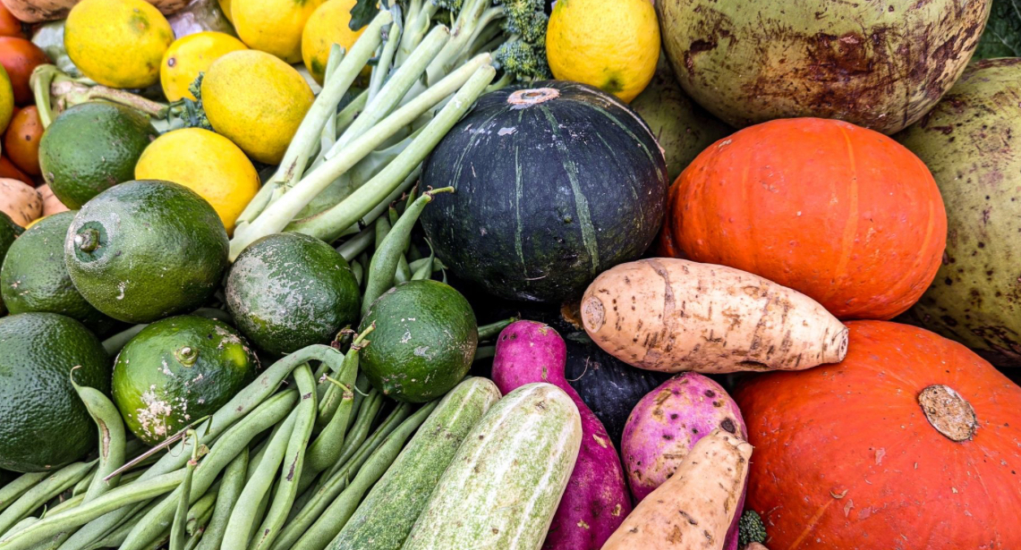 1681 طنا من الخضار ترد إلى السوق المركزي