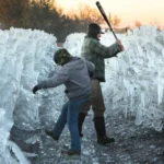 فلوريدا تتجمد.. درجات حرارة غير مسبوقة تدمر الموالح وتهدد بانقطاع التيار