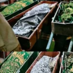 مصر: تشييع حزين لـ 6 جثامين من عائلة واحدة قُتلوا في حادثة سير بعودتهم من واجب عزاء