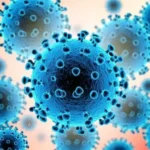 فايروسان يثيران تهديداً للصحة العامة.. خطر جديد؟!