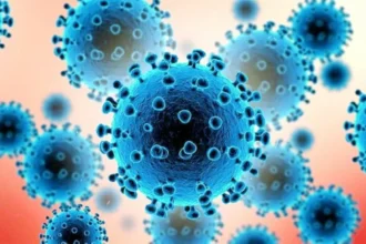 فايروسان يثيران تهديداً للصحة العامة.. خطر جديد؟!