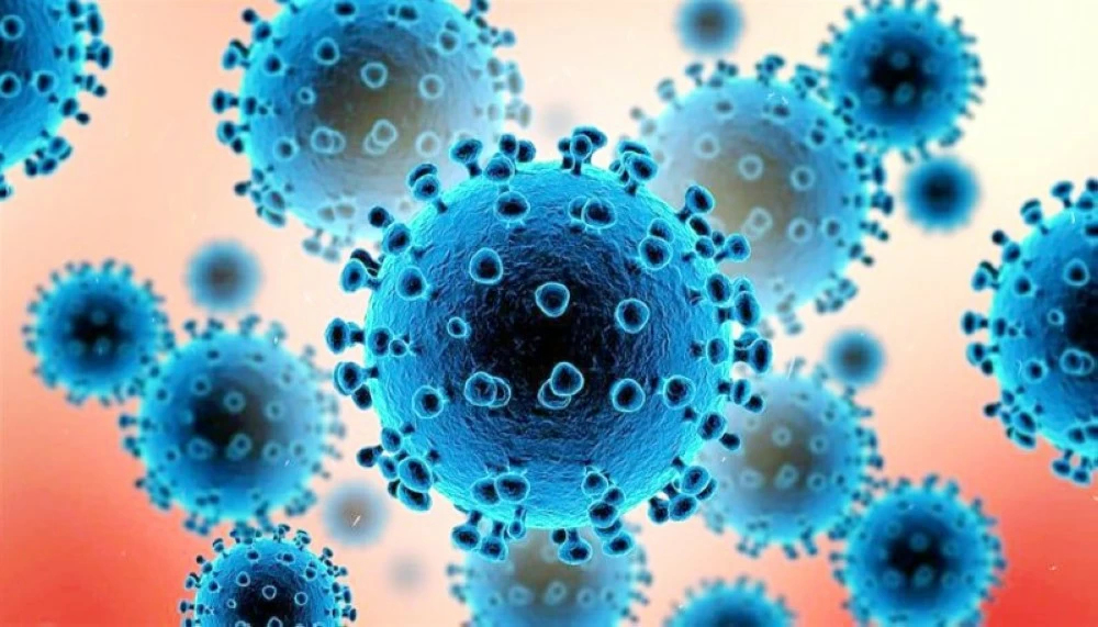 فايروسان يثيران تهديداً للصحة العامة.. خطر جديد؟!