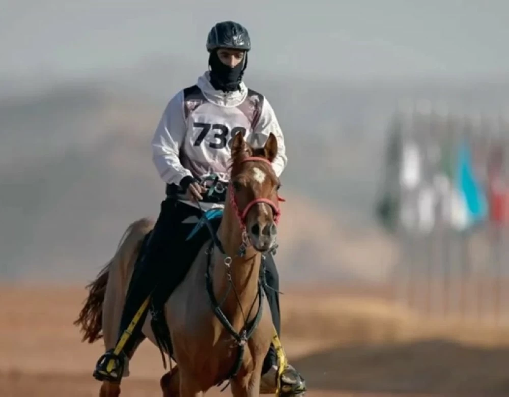 300 فارس يتنافسون عبر أصعب مسارات القدرة والتحمّل 300 فارس يتنافسون عبر أصعب مسارات القدرة والتحمّل