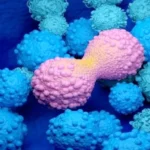 اكتشاف علمي يفتح باباً جديداً لفهم نشوء السرطان مبكراً