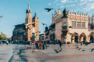 كراكوف تقرر تقليص أسراب الحمام بلا رصاصة واحدة