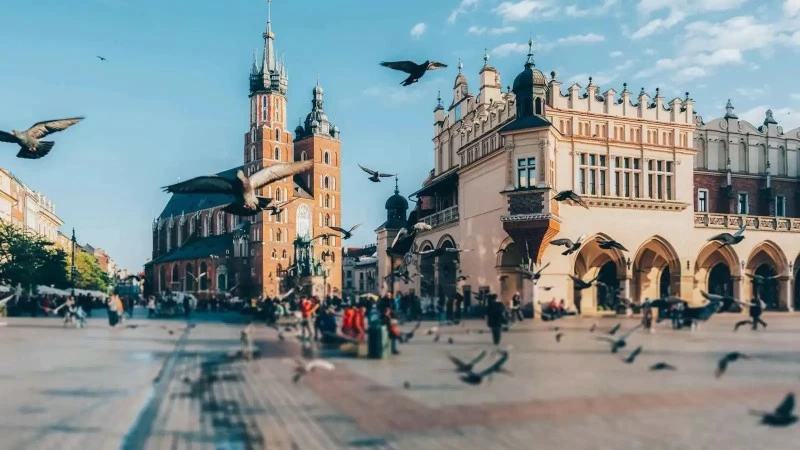 كراكوف تقرر تقليص أسراب الحمام بلا رصاصة واحدة