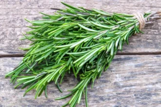 فوائد إكليل الجبل: