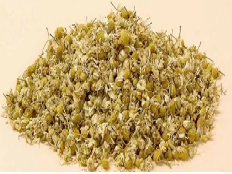 أعشاب التنحيف تقتل طفلاً وتُفرّق زوجين عراقيين أعشاب التنحيف تقتل طفلاً وتُفرّق زوجين عراقيين