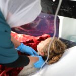 الأردن يجلي الدفعة 23 من أطفال غزة المرضى للعلاج في المملكة