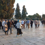 عشرات المستوطنين يقتحمون المسجد الأقصى بحماية الاحتلال​ 