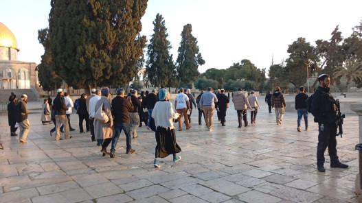 عشرات المستوطنين يقتحمون المسجد الأقصى بحماية الاحتلال​ 