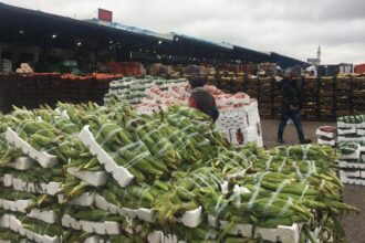 12.4 مليون دينار واردات السوق المركزي خلال أول 3 أيام من رمضان