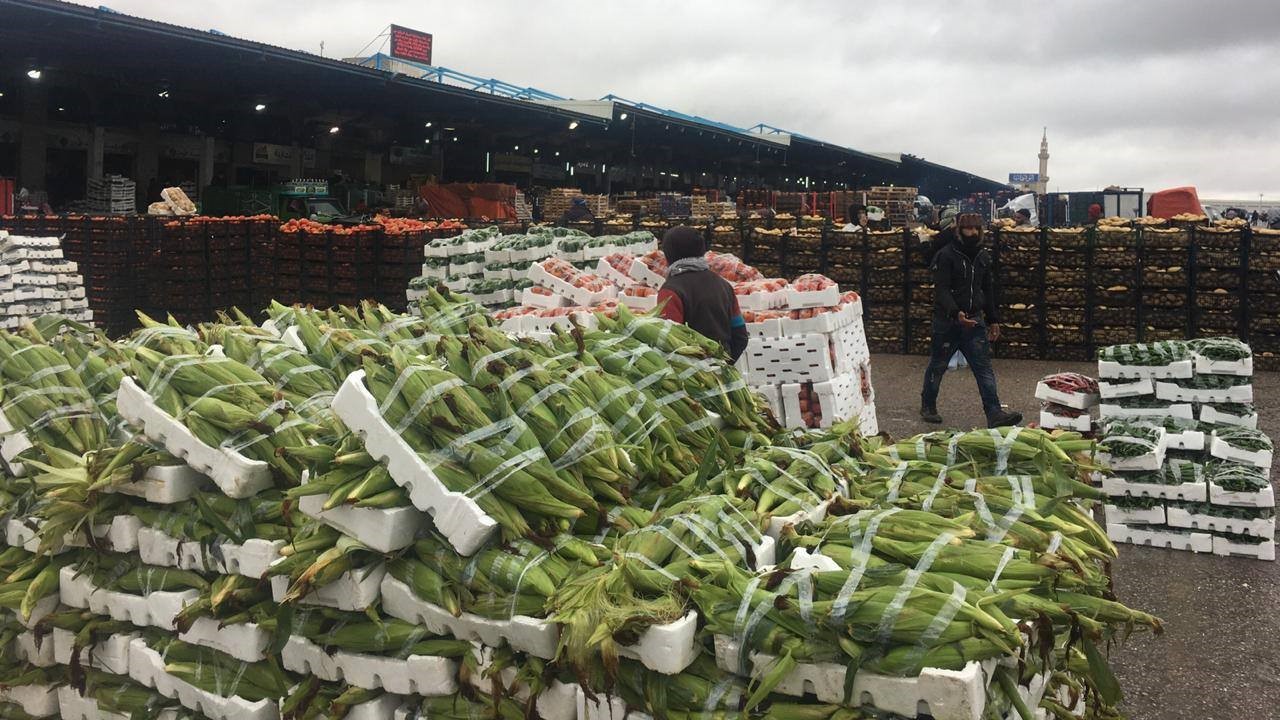 12.4 مليون دينار واردات السوق المركزي خلال أول 3 أيام من رمضان 12.4 مليون دينار واردات السوق المركزي خلال أول 3 أيام من رمضان