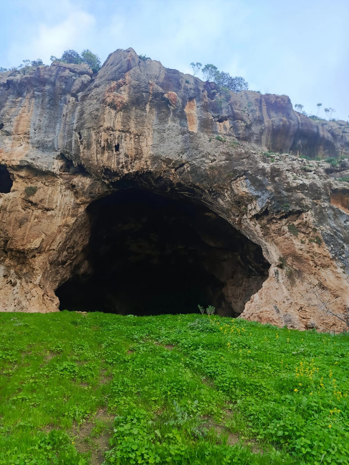 كهف “عراق الدب”.. شاهد على الحضارات في شمال المملكة