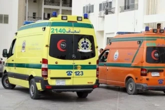 مصر: العثور على جثتي طفلين متفحمتين في محول كهرباء.. حادثة عرضية أم جريمة مدبرة؟