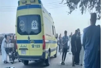 خلاف على الميراث يدفع مصري إلى قتل شقيقه