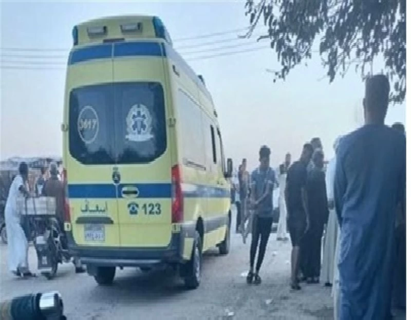 خلاف على الميراث يدفع مصري إلى قتل شقيقه