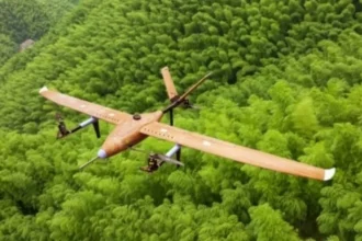 الصين تفاجئ العالم.. طائرة مسيرة مصنوعة من الخيزران