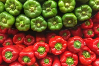 الفلفل الأحمر أم الأخضر.. أيهما يقوي صحتك أكثر؟
