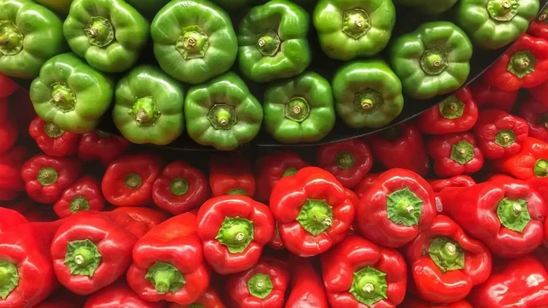 الفلفل الأحمر أم الأخضر.. أيهما يقوي صحتك أكثر؟