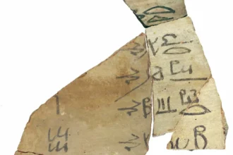 يضم 143 ألف قطعة.. بعثة مصرية ألمانية تعثر على كنز أثري في سوهاج