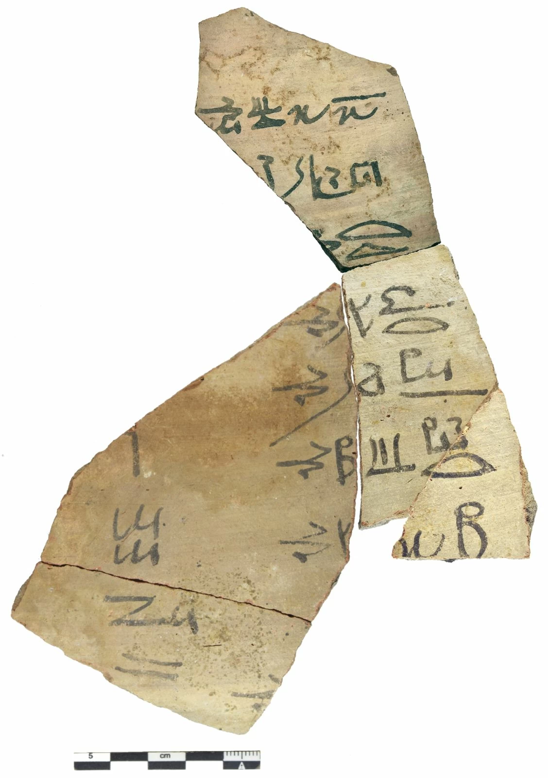 يضم 143 ألف قطعة.. بعثة مصرية ألمانية تعثر على كنز أثري في سوهاج