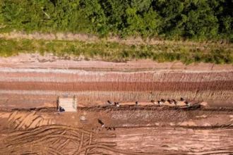 ديناصور عملاق يربط البرازيل بأوروبا قبل 120 مليون سنة