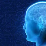 رقائق الدماغ ستصل إلى نحو مليار ريال.. سباق عالمي لصناعة الاقتصاد العصبي