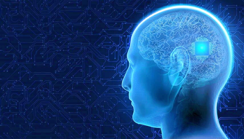 رقائق الدماغ ستصل إلى نحو مليار ريال.. سباق عالمي لصناعة الاقتصاد العصبي