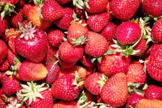 قائمة «الأطعمة الـ12 الأكثر تلوثاً بالمبيدات»