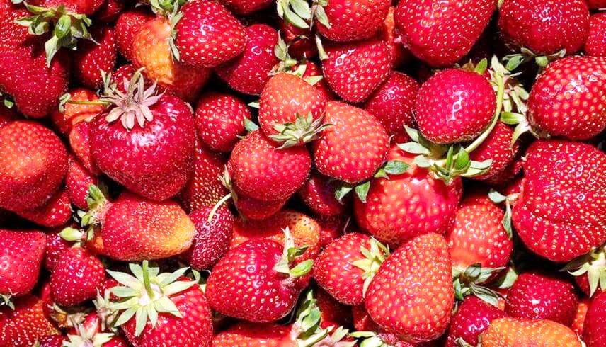 قائمة «الأطعمة الـ12 الأكثر تلوثاً بالمبيدات»