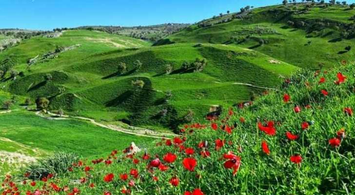 فصل الربيع في الأردن.. اعتدال غائب وتقلبات حاضرة