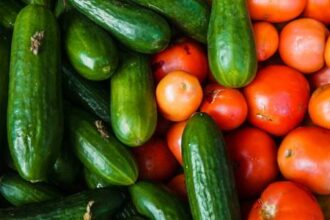 الزراعة تعلّق تصدير البندورة والخيار إلى جميع المقاصد من 10 إلى 20 آذار