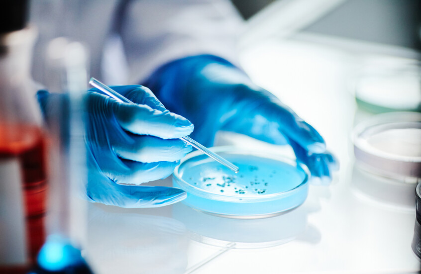 ثورة في فهم العقم.. اكتشاف آلية غير متوقعة تتحكم في البلوغ والخصوبة ثورة في فهم العقم.. اكتشاف آلية غير متوقعة تتحكم في البلوغ والخصوبة