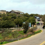 عجلون: دعوات لتعزيز الوعي للحفاظ على التنوع الحيوي والغابات