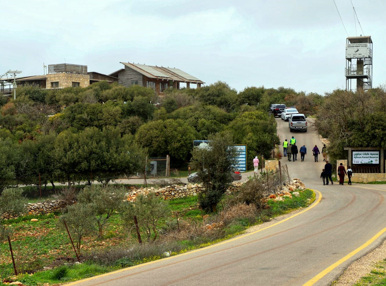 عجلون: دعوات لتعزيز الوعي للحفاظ على التنوع الحيوي والغابات