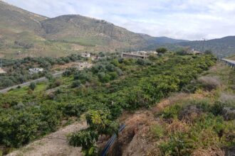 مشروع راجب الزراعي يعزز التنمية المستدامة في عجلون