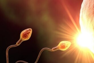 العلماء يكشفون تأثير انعدام الوزن على الإخصاب ويقترحون حلا هرمونيا